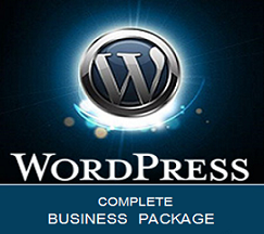 WordPress turnkey business websites.